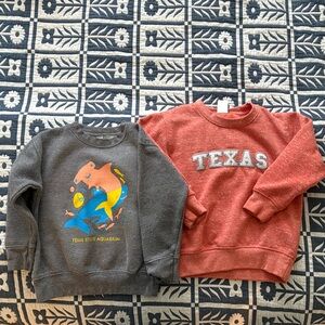 Texas Longhorns and Texas State Aquarium sweatshirts (both for $20)